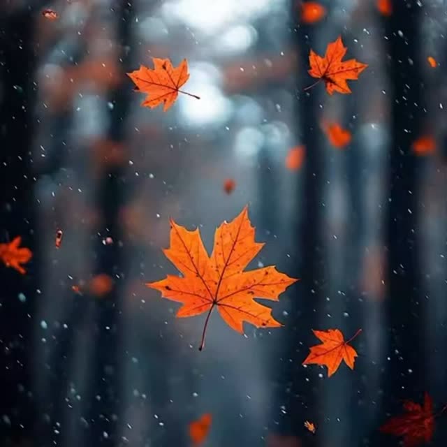 کاربر آروند