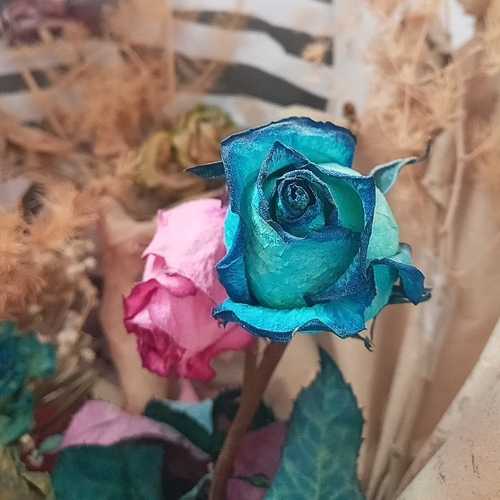کاربر آروند