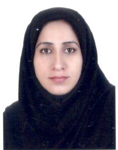 کاربر آروند