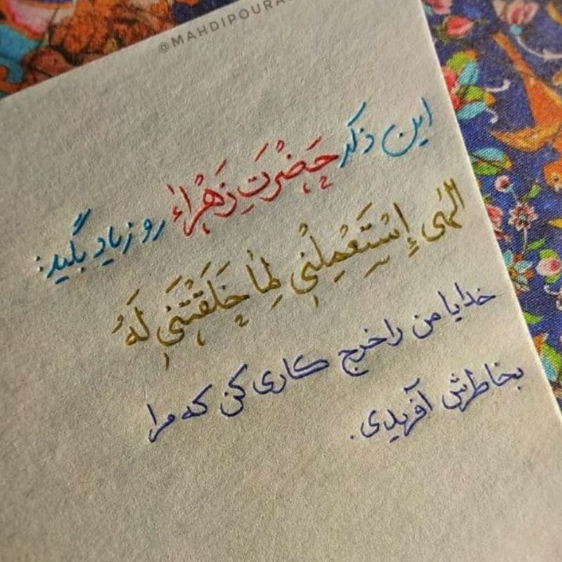 کاربر آروند