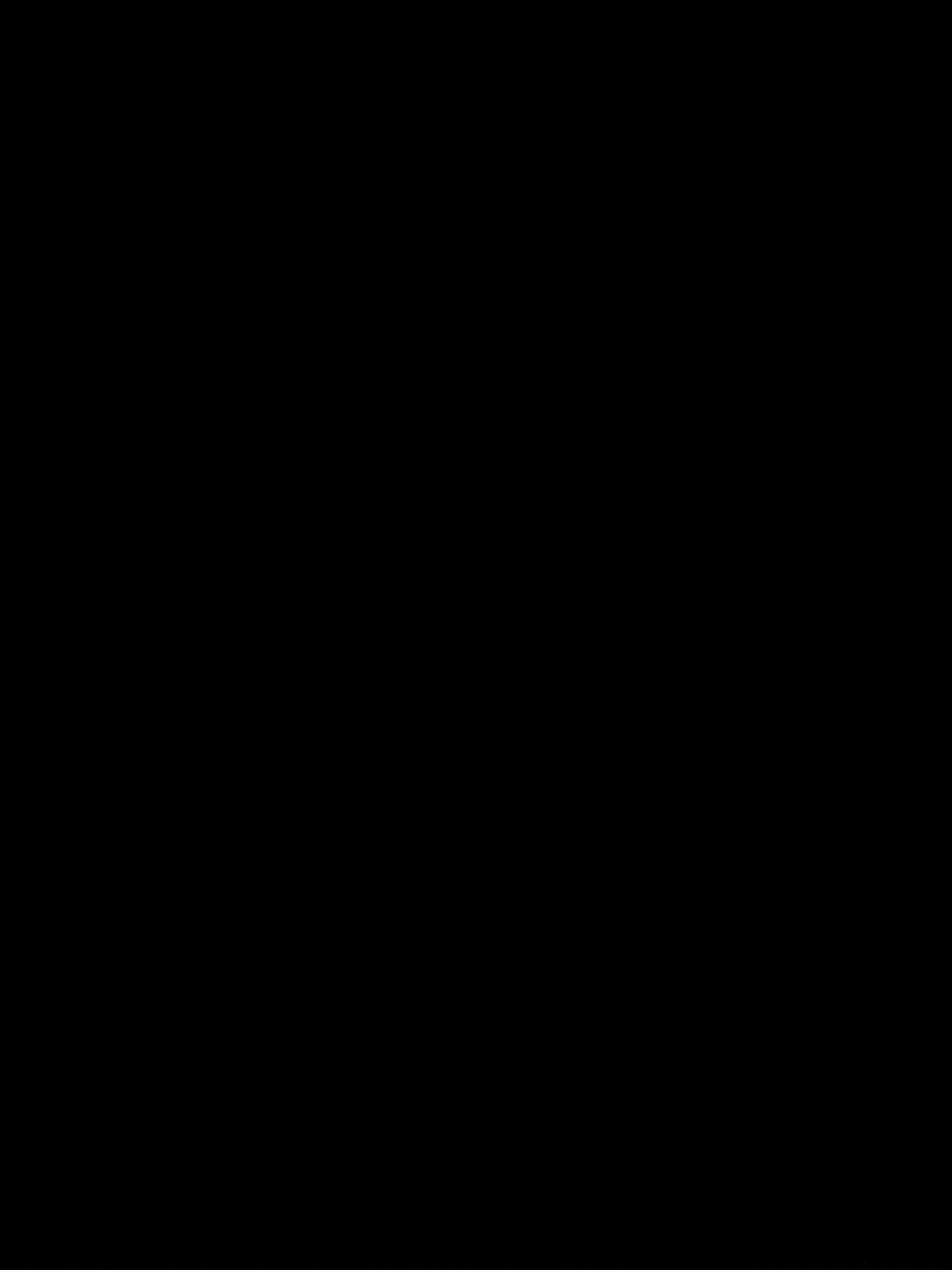 دلیر محمدی