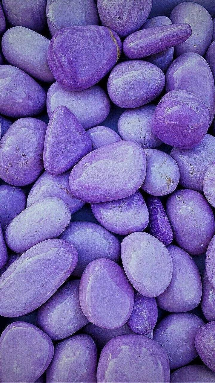 کاربر آروند