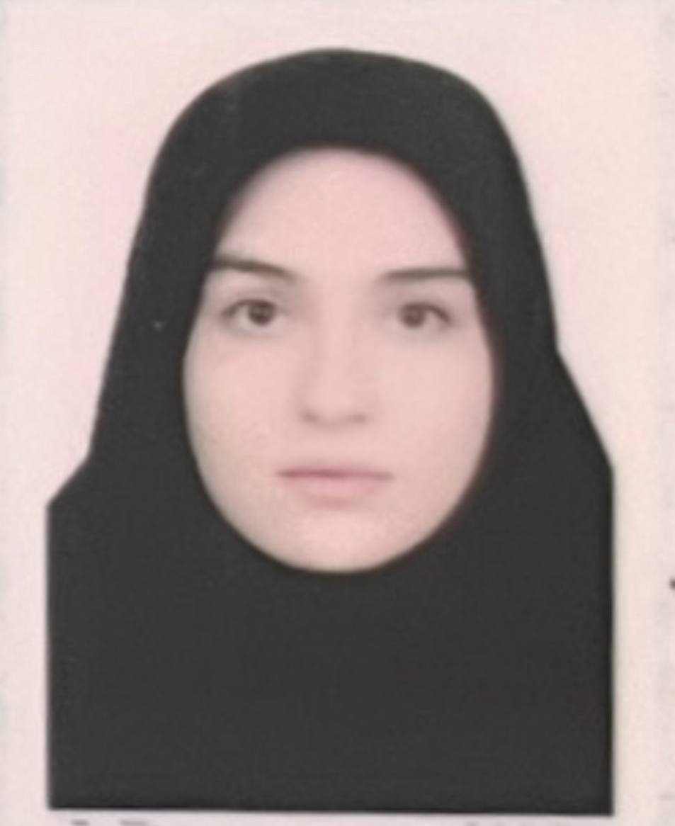 کاربر آروند