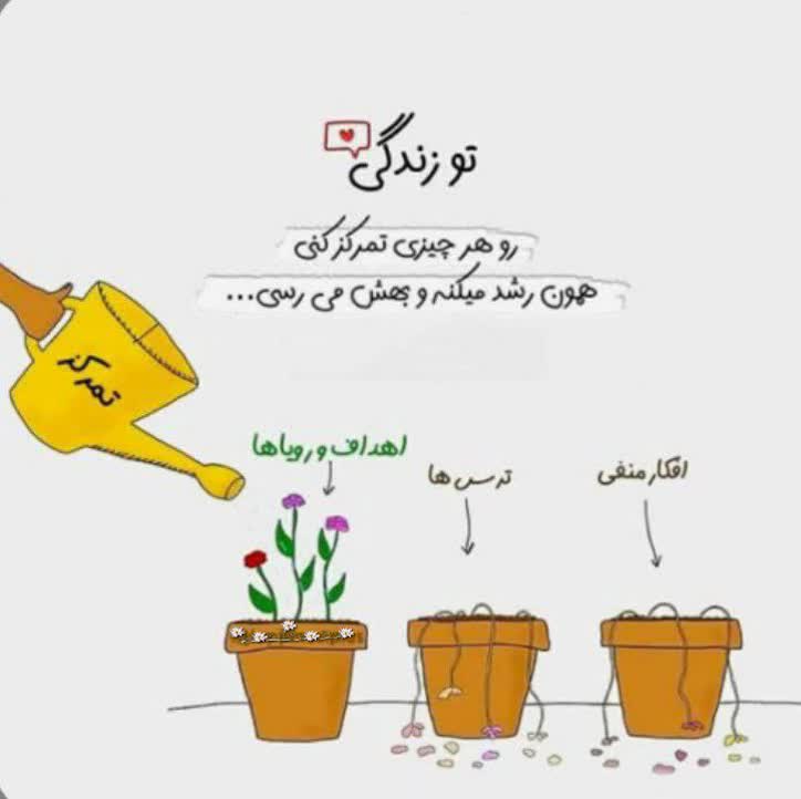 کاربر آروند