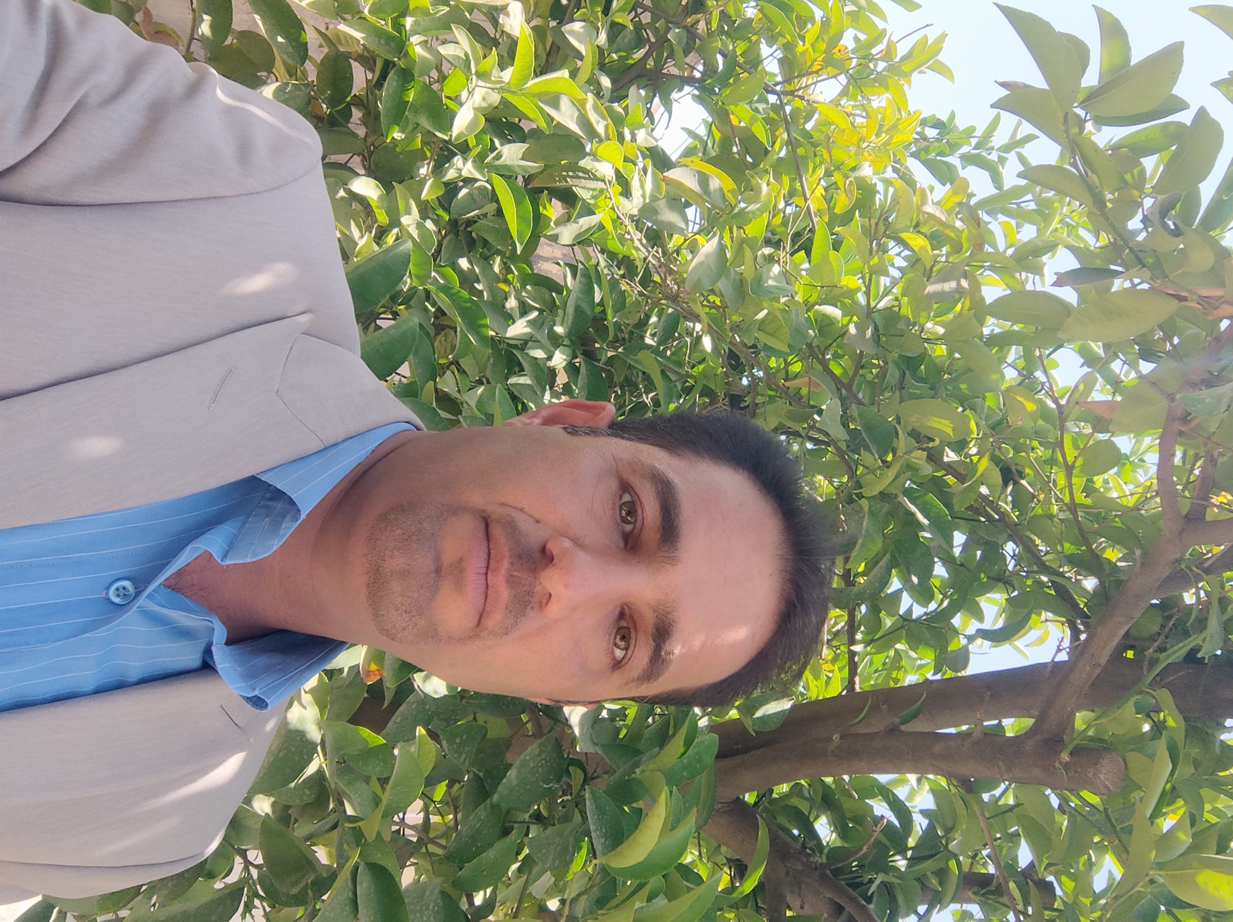 کاربر آروند