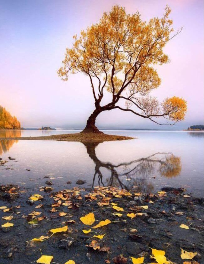 کاربر آروند