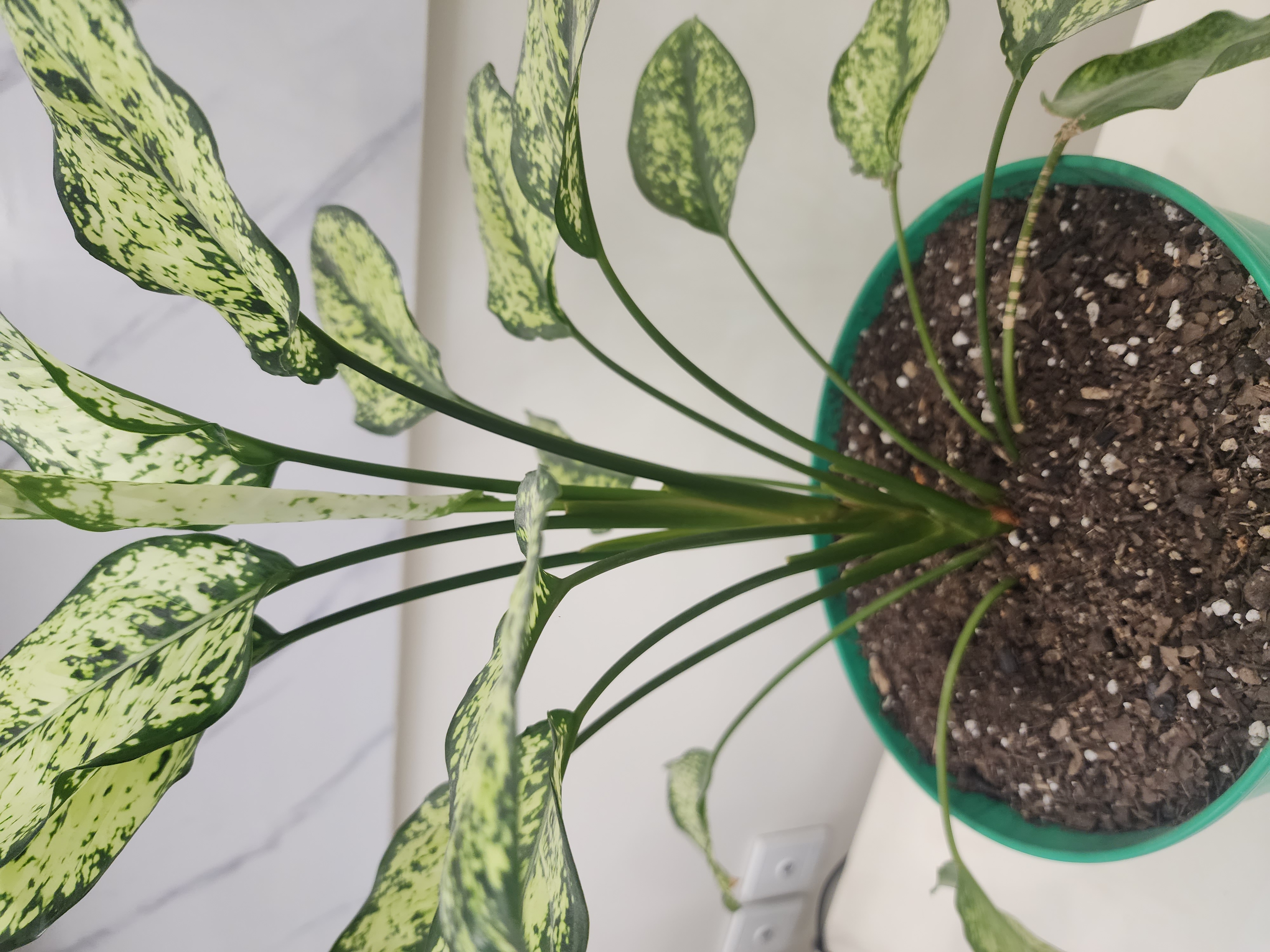 کاربر آروند