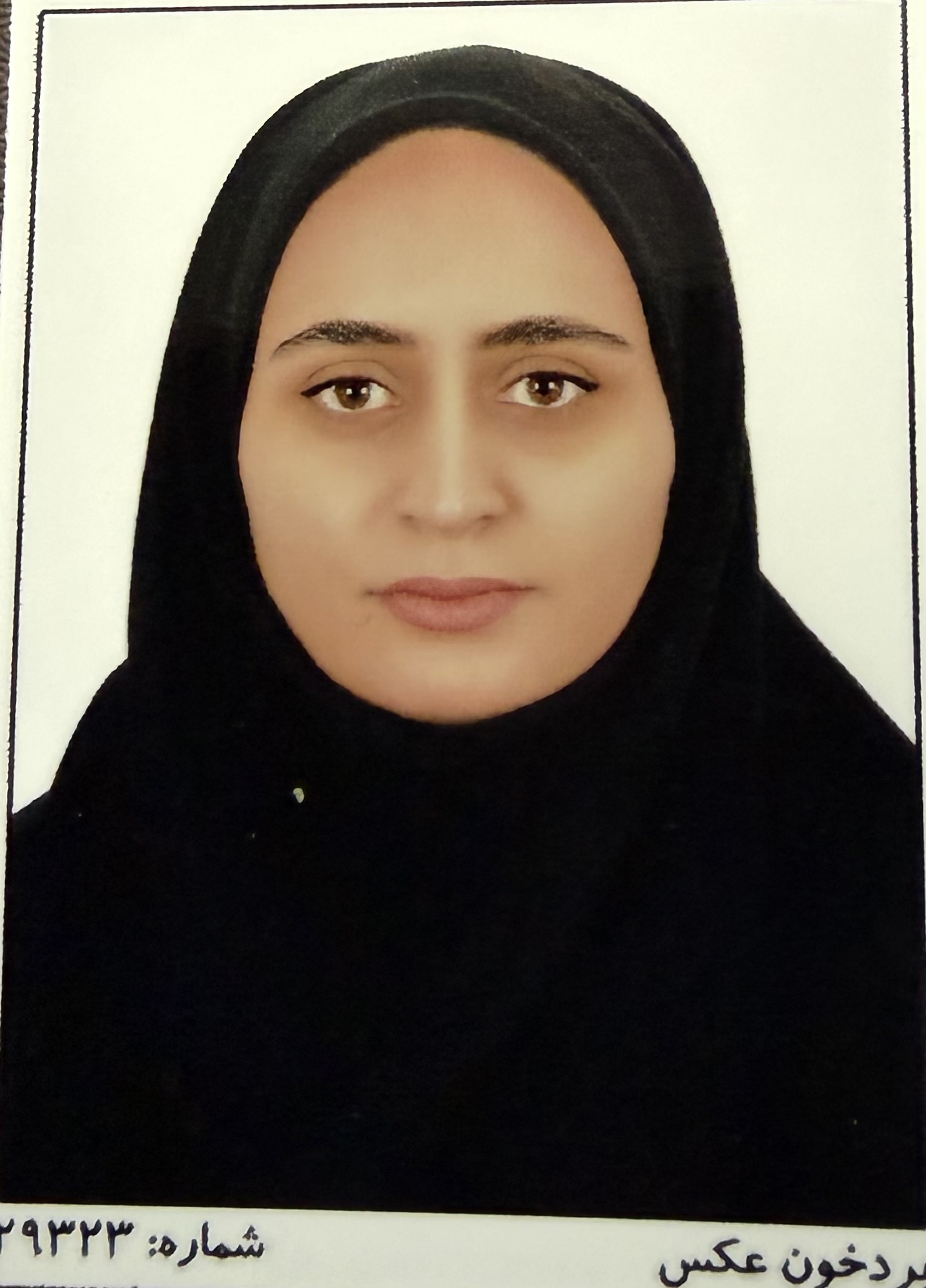 کاربر آروند