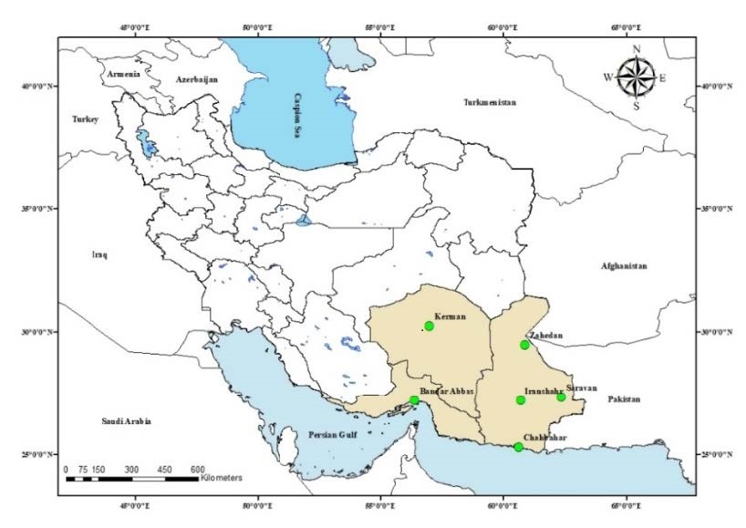 کاربر آروند