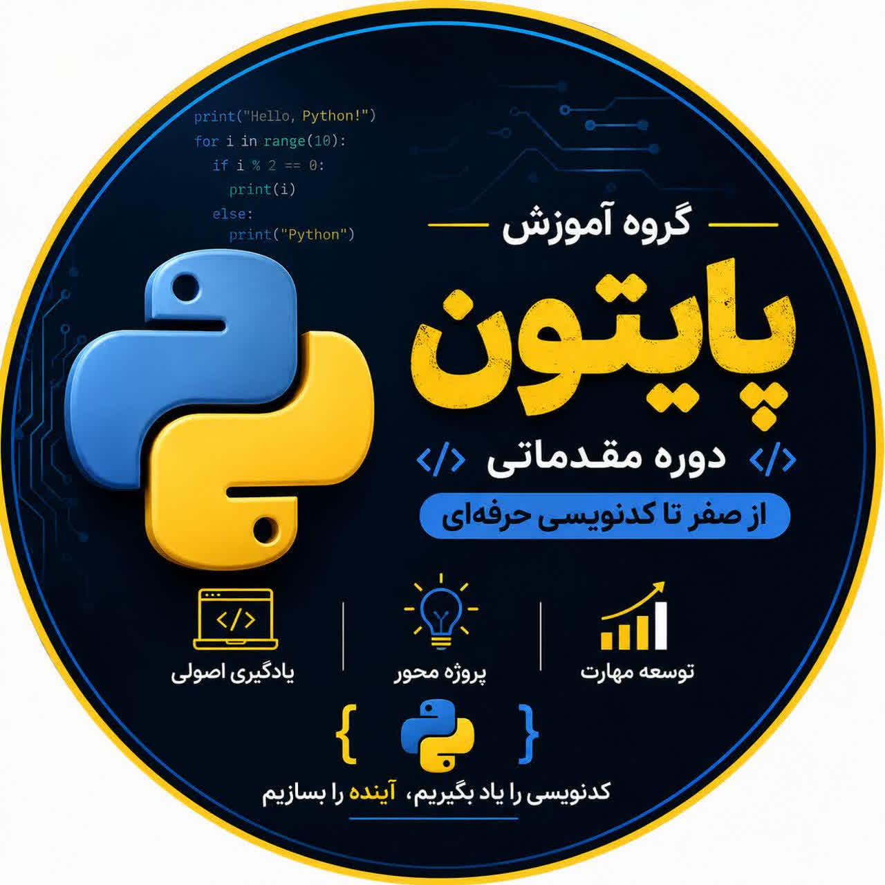 دوره آموزش مقدماتی پایتون